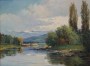 567-4-flusslandschaft-altenrhein